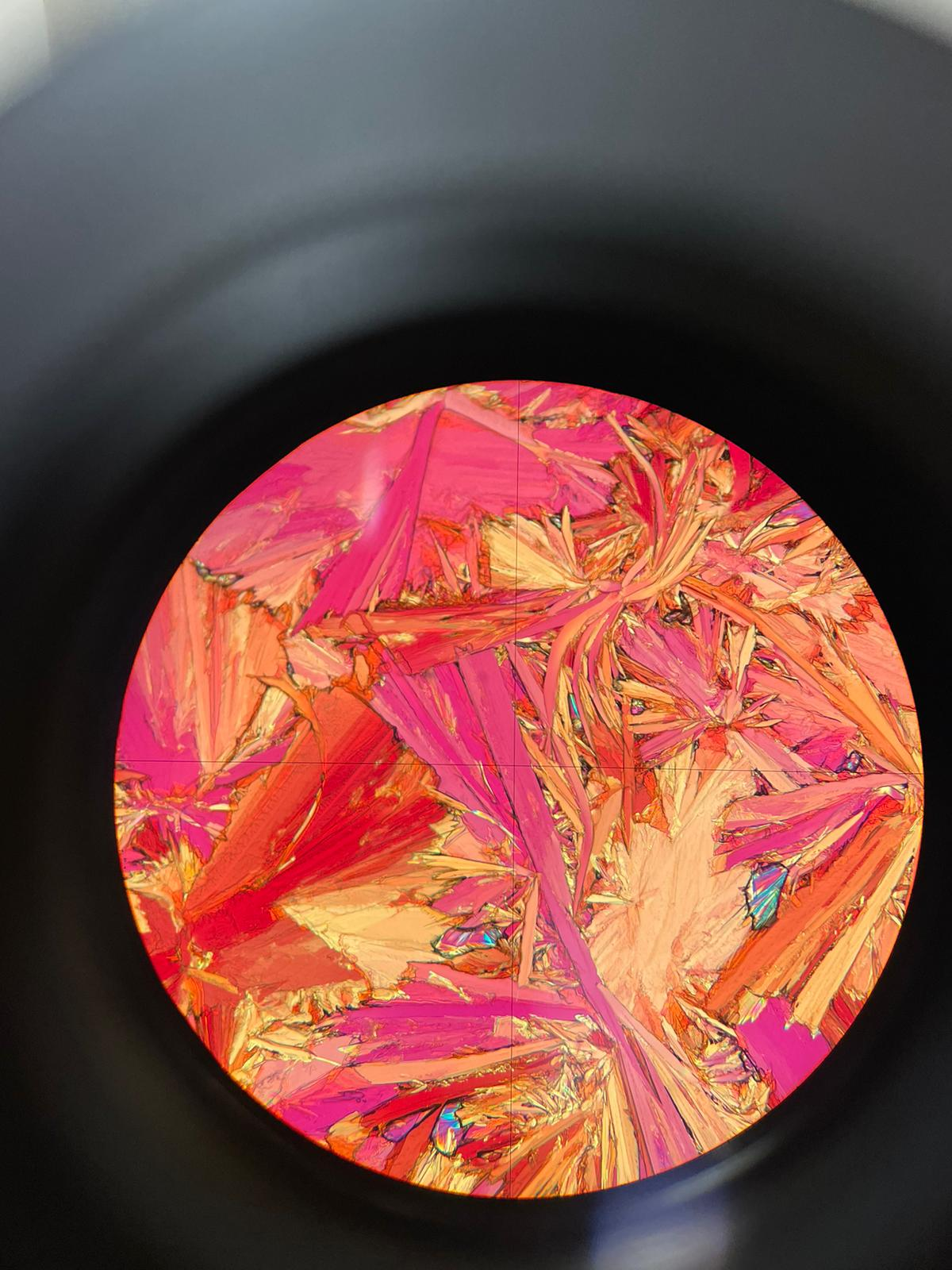 Polarized Optical Microscopy (POM)